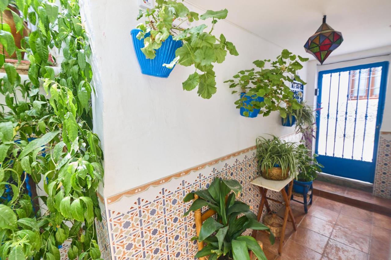 Casa El "Tablao De Las Almendras" Granada Dış mekan fotoğraf