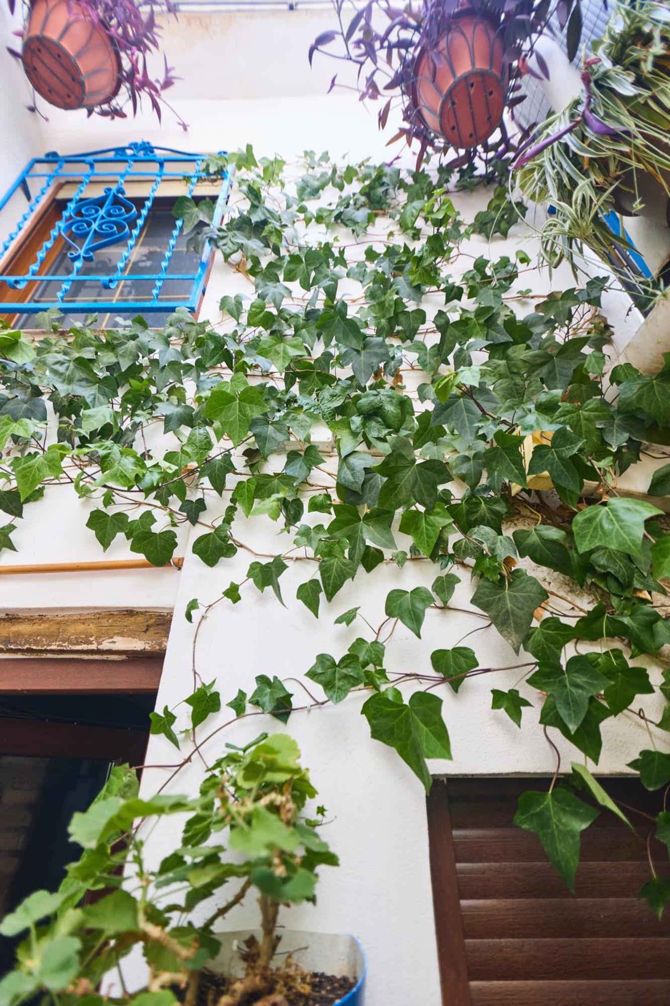 Casa El "Tablao De Las Almendras" Granada Dış mekan fotoğraf